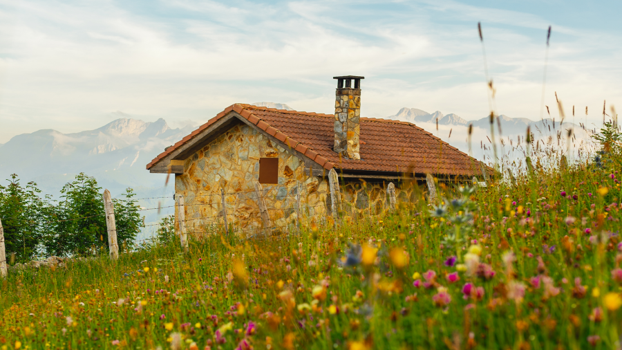 Cottagecore: conheça a tendência que prioriza conforto, natureza e simplicidade
