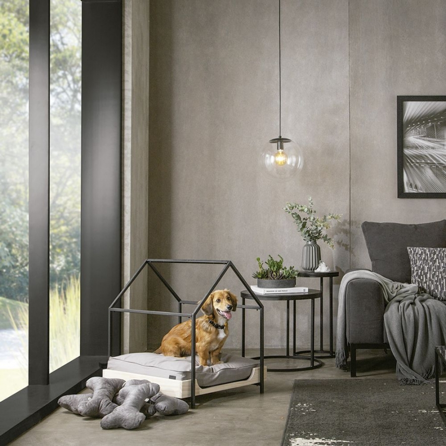 Os objetos do seu pet também fazem parte da decoração